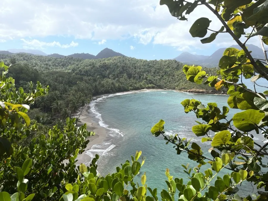 A hidden cove seen through foliage