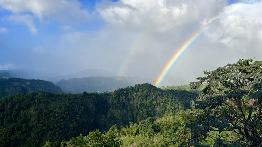 A rainbow over the rainforest